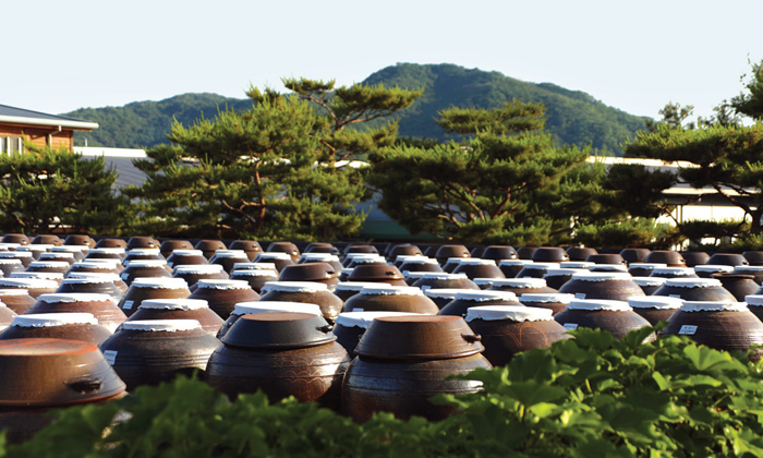 <i>Jangdokdae</i> (Soy Jar Terrace). An area outside the kitchen used to store large brown-glazed pottery jars containing soy paste, soy sauce, and chili paste.