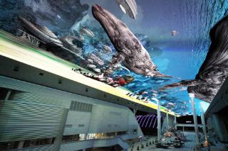  YEOSU, ĐẠI DƯƠNG LÀ CUỘC SỐNG