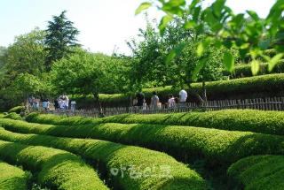  CÁC ĐIỂM DU LỊCH GẦN YEOSU