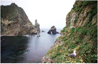 DOKDO - HÒN ĐẢO XINH ĐẸP TẬN CÙNG PHÍA ĐÔNG