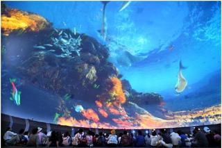  HÀN QUỐC THU NHỎ TẠI YEOSU EXPO