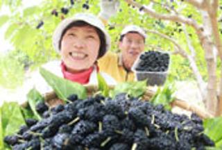  지구촌 이웃들이 생각하는 한국, 한국인은?